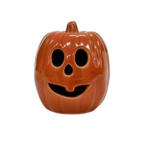 Small pumpkin Big Brother (A446 DK1)