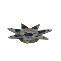 A293 D40
