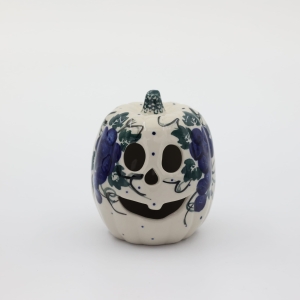 Small pumpkin Big Brother (A446 D9)   