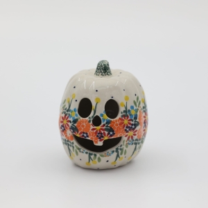 Small pumpkin Big Brother (A446 D55)     