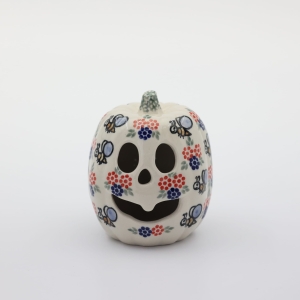 Small pumpkin Big Brother (A446 D2)      