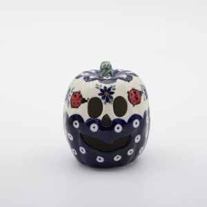 Small pumpkin Big Brother (A446 D105)    