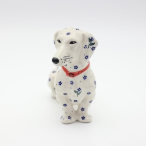 Dachshund Kajtek hunting dog (A461 D122)   