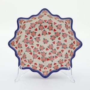 Platter STAR (A454 D88)     